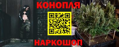 ГАЛЛЮЦИНОГЕННЫЕ ГРИБЫ Свободный